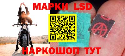 прущие грибы Шебекино