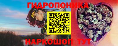 ALPHA PVP Ярославль
