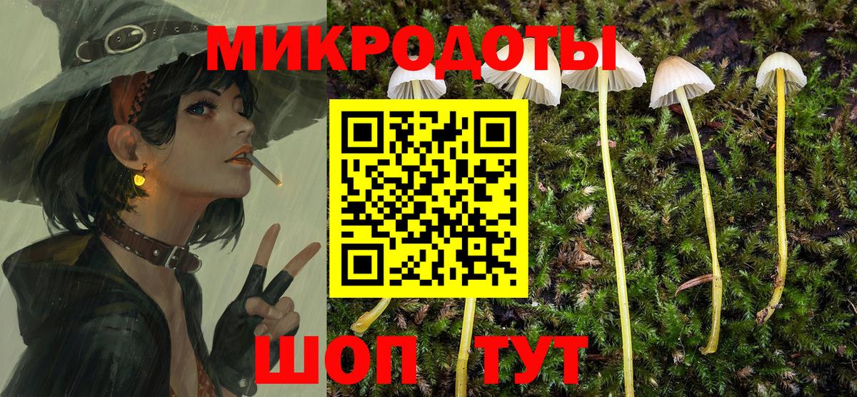 Белово  Галлюциногенные грибы прущие грибы  Вход с VPN 